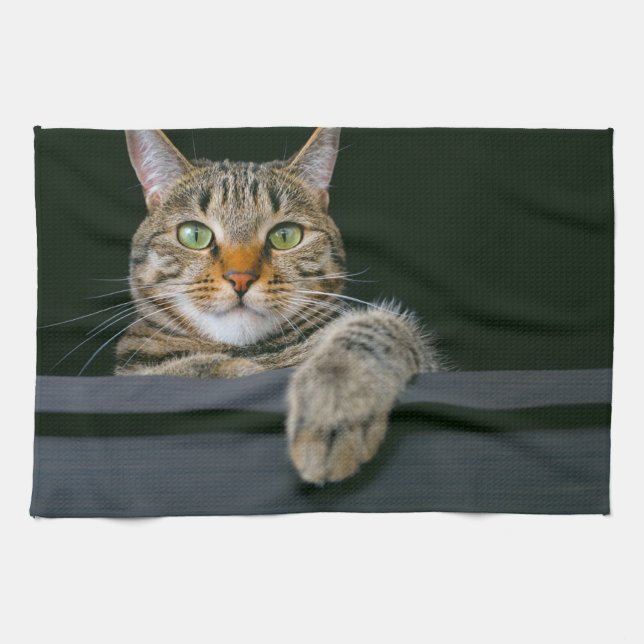 Cutest Baby Animals | Grey Tabby Cat Face Kitchen Towel (Horizontal)