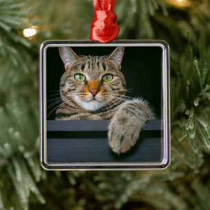 Cutest Baby Animals   Grey Tabby Cat Face Metal Ornament