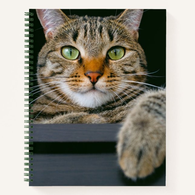Cutest Baby Animals | Grey Tabby Cat Face Notebook (Front)
