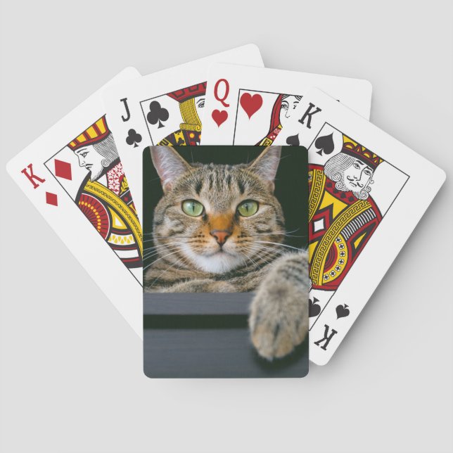 Cutest Baby Animals | Grey Tabby Cat Face Playing Cards (Back)