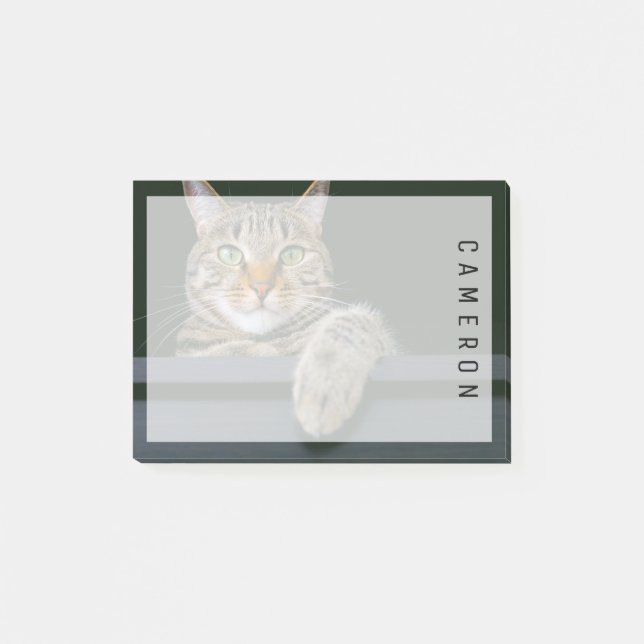 Cutest Baby Animals | Grey Tabby Cat Face Post-it Notes (Front)
