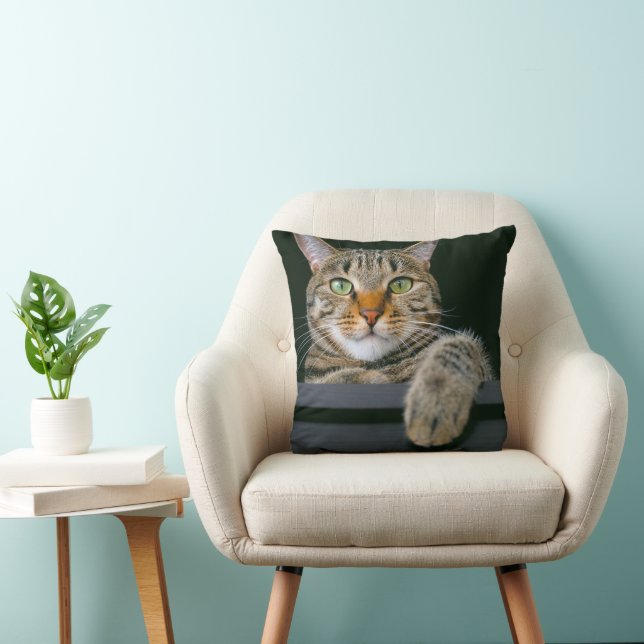 Cutest Baby Animals | Grey Tabby Cat Face Throw Pillow (Chair)