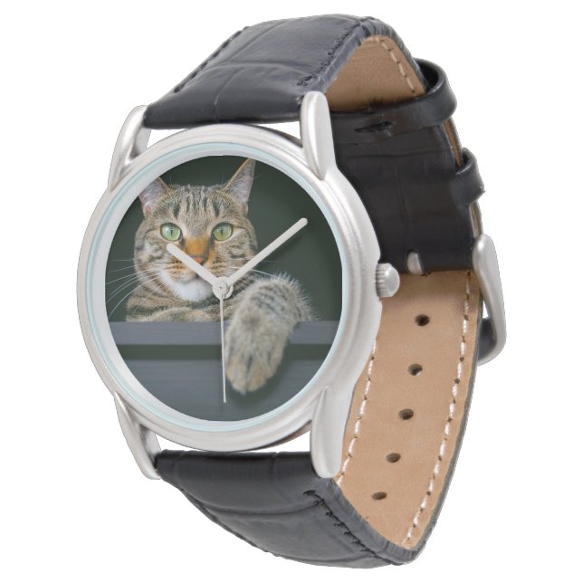Cutest Baby Animals | Grey Tabby Cat Face Watch (Angled)