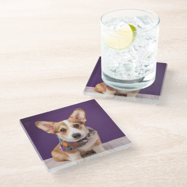 Cutest Baby Animals | Halloween Corgi Glass Coaster (Angled)