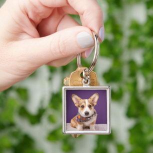 Cutest Baby Animals   Halloween Corgi Keychain