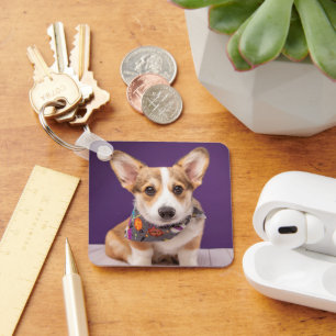 Cutest Baby Animals   Halloween Corgi Keychain