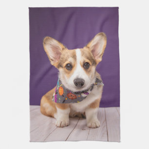 Cutest Baby Animals Halloween Corgi Kitchen Towel