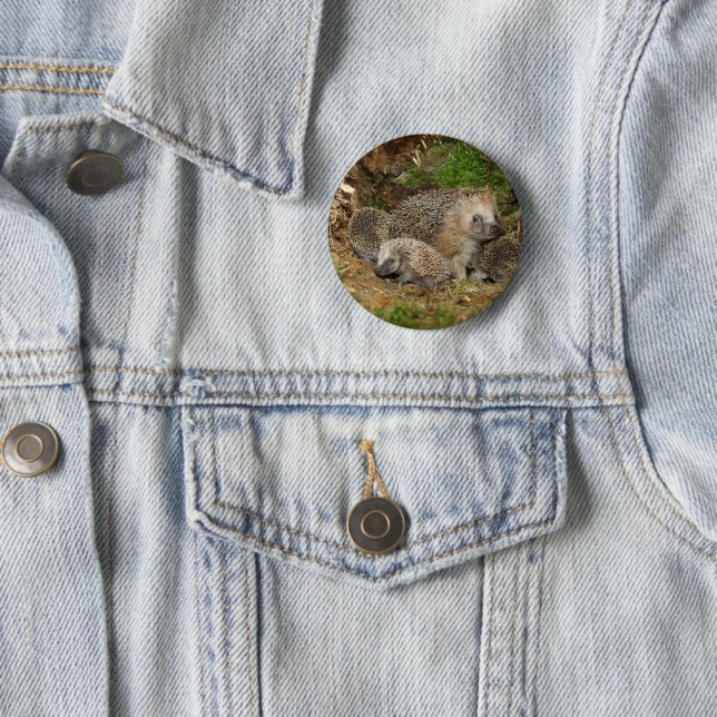 Cutest Baby Animals | Hedgehog Family 2 Inch Round Button (In Situ)