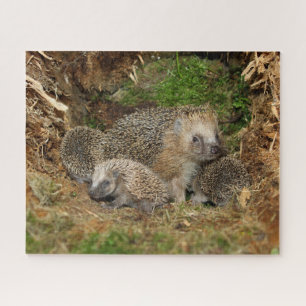 Cutest Baby Animals   Hedgehog Family Jigsaw Puzzle