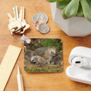 Cutest Baby Animals Hedgehog Family Keychain