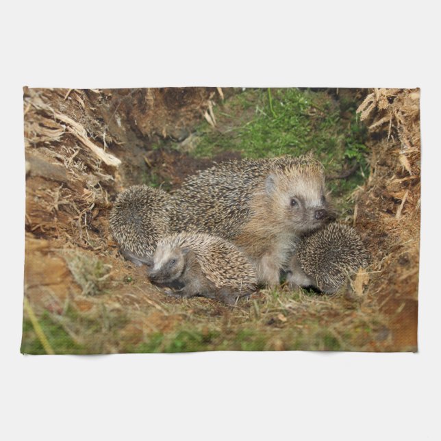 Cutest Baby Animals | Hedgehog Family Kitchen Towel (Horizontal)