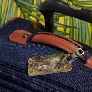 Cutest Baby Animals   Hedgehog Family Luggage Tag