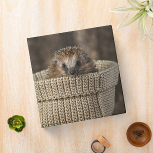 Cutest Baby Animals   Hedgehog in a Basket Binder
