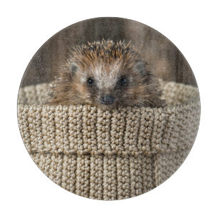 Cutest Baby Animals Hedgehog in a Basket Cutting Board