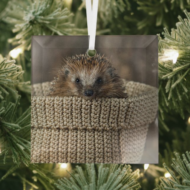 Cutest Baby Animals | Hedgehog in a Basket Glass Ornament (Insitu)