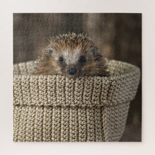 Cutest Baby Animals   Hedgehog in a Basket Jigsaw Puzzle