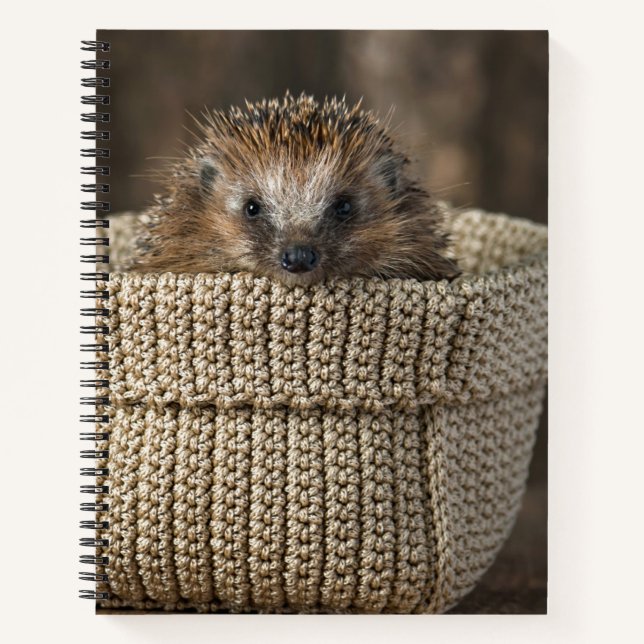 Cutest Baby Animals | Hedgehog in a Basket Notebook (Front)