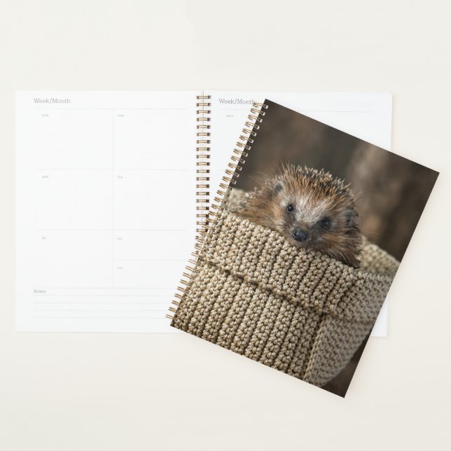 Cutest Baby Animals | Hedgehog in a Basket Planner (Display)