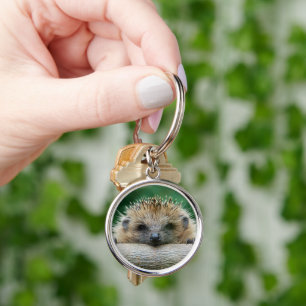 Cutest Baby Animals   Hedgehog Smile Keychain