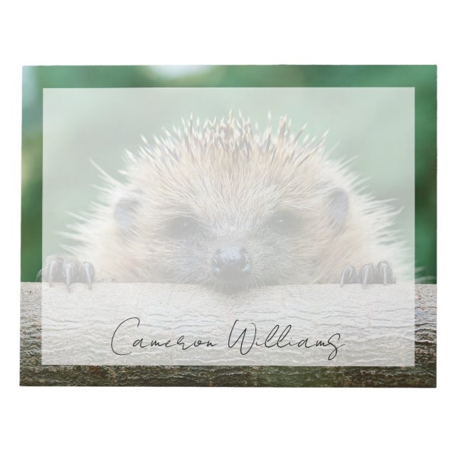 Cutest Baby Animals | Hedgehog Smile Notepad (Front)