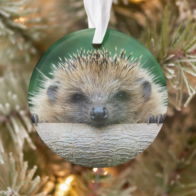 Cutest Baby Animals | Hedgehog Smile Ornament (Tree)