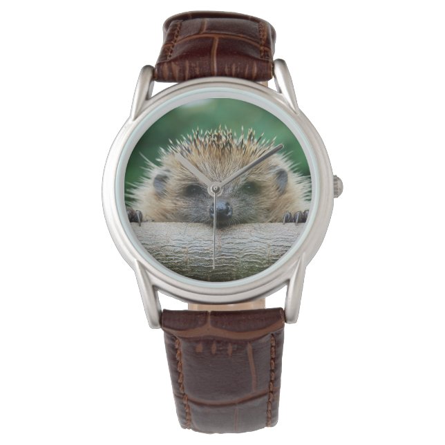 Cutest Baby Animals | Hedgehog Smile Watch (Front)