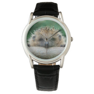 Cutest Baby Animals Hedgehog Smile Watch