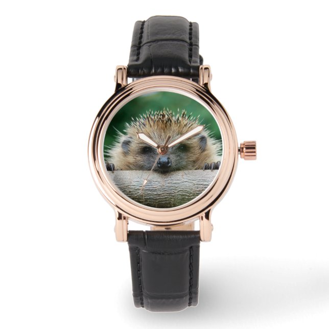 Cutest Baby Animals | Hedgehog Smile Watch (Front)