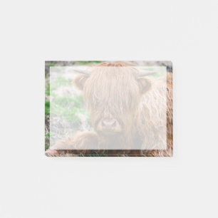 Cutest Baby Animals Highland Cow Calf Post-it Notes