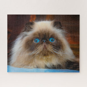 Cutest Baby Animals   Himalayan Cat Jigsaw Puzzle