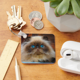 Cutest Baby Animals   Himalayan Cat Keychain