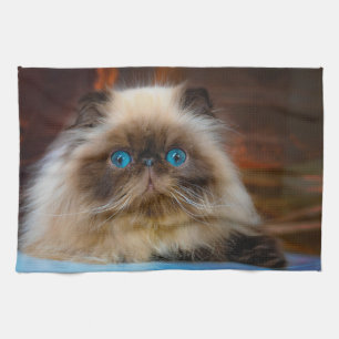Cutest Baby Animals   Himalayan Cat Kitchen Towel