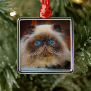 Cutest Baby Animals Himalayan Cat Metal Ornament