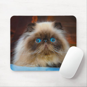 Cutest Baby Animals Himalayan Cat Mouse Pad