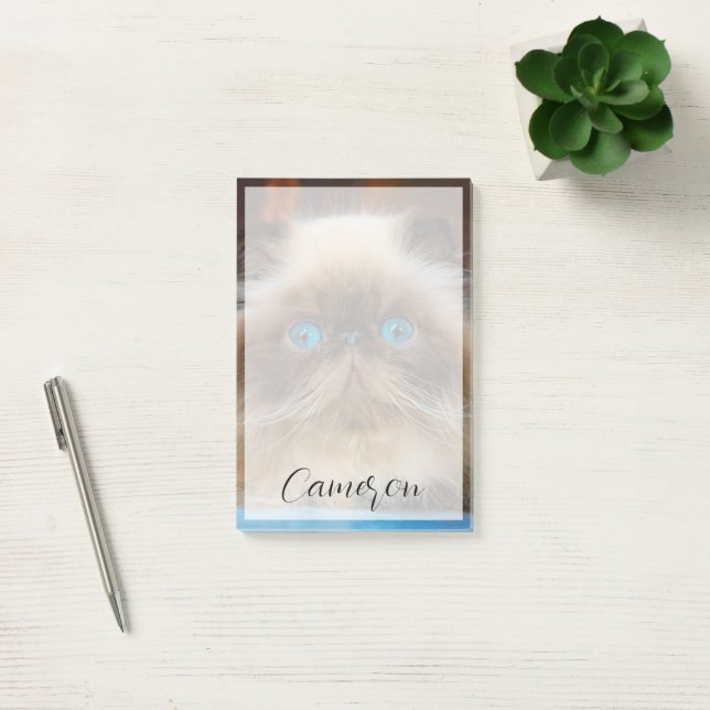 Cutest Baby Animals | Himalayan Cat Post-it Notes (Office)