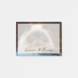 Cutest Baby Animals Himalayan Cat Post-it Notes
