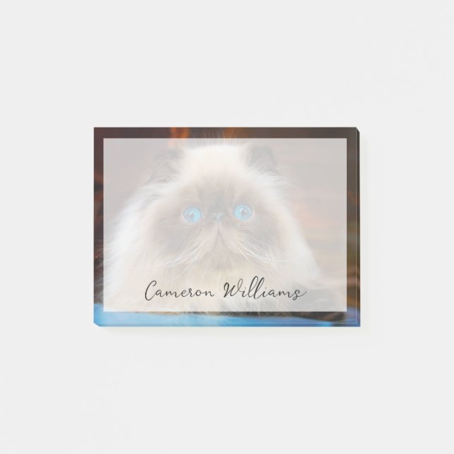 Cutest Baby Animals | Himalayan Cat Post-it Notes (Front)