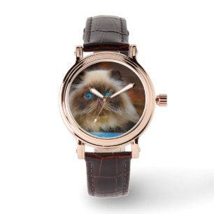 Cutest Baby Animals Himalayan Cat Watch