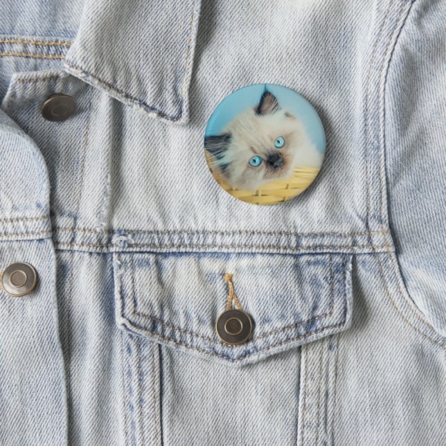 Cutest Baby Animals | Himalayan Seal Point Cat 2 Inch Round Button (In Situ)