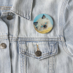 Cutest Baby Animals   Himalayan Seal Point Cat 2 Inch Round Button