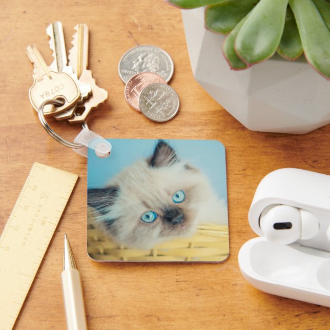 Cutest Baby Animals | Himalayan Seal Point Cat Keychain (Desk)