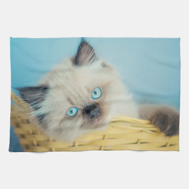 Cutest Baby Animals | Himalayan Seal Point Cat Kitchen Towel (Horizontal)