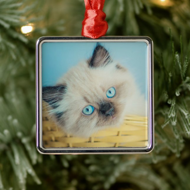 Cutest Baby Animals | Himalayan Seal Point Cat Metal Ornament (Tree)