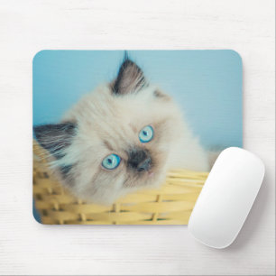 Cutest Baby Animals Himalayan Seal Point Cat Mouse Pad