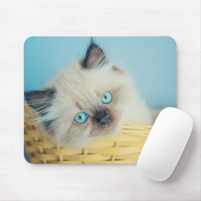 Cutest Baby Animals | Himalayan Seal Point Cat Mouse Pad (With Mouse)