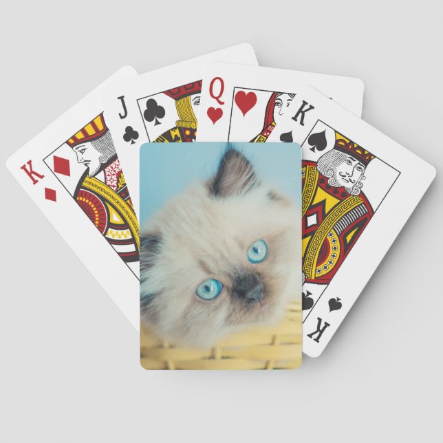 Cutest Baby Animals | Himalayan Seal Point Cat Playing Cards (Back)