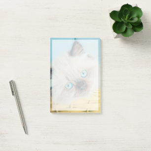 Cutest Baby Animals Himalayan Seal Point Cat Post-it Notes