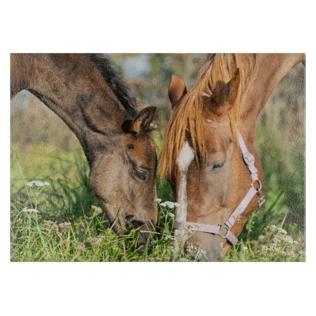 Cutest Baby Animals | Horse Colt Cutting Board (Front)