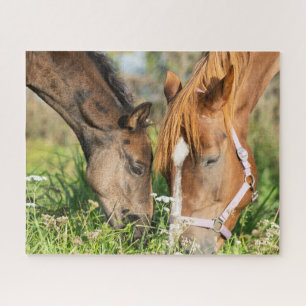 Cutest Baby Animals   Horse Colt Jigsaw Puzzle