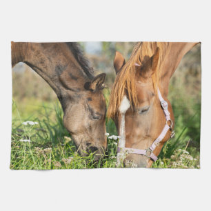 Cutest Baby Animals   Horse Colt Kitchen Towel